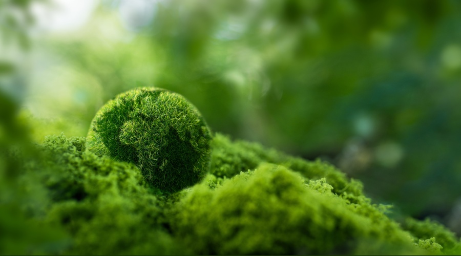 CO₂-footprint 2025 en klimaatactieplan